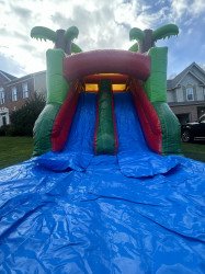 IMG 6624 1712354798 Tropical Paradise Dual Lane Combo - Dry Slide