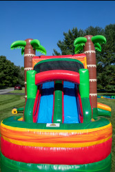 IMG 0065 1727289316 Tropical Paradise Dual Lane Combo - Dry Slide