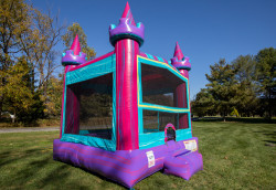 Princess Castle Bouncer IMG 7888 1761668736 Princess Castle Bouncer