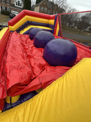 IMG 8421 1764153137 Leaps and Bounds