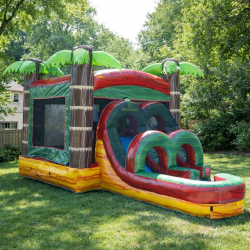 Coconut Cove Combo- Dry Slide